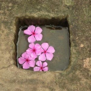 Meet your Posher, Wendy